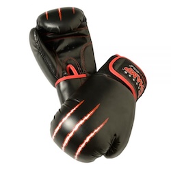 Workout/Training Boxing Glove